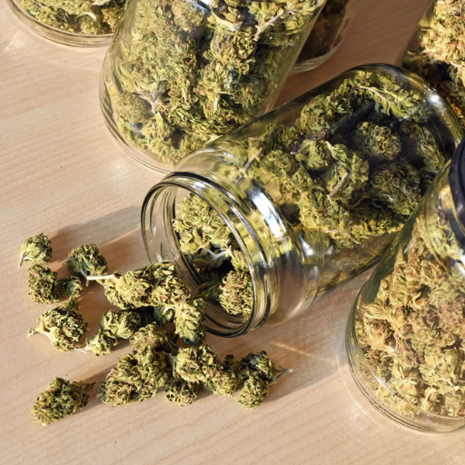 How to Store Your Weed for Maximum Freshness
