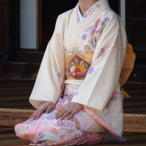 Understanding the Kimono